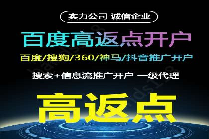 竞价托管实战案例：优化广告投放策略